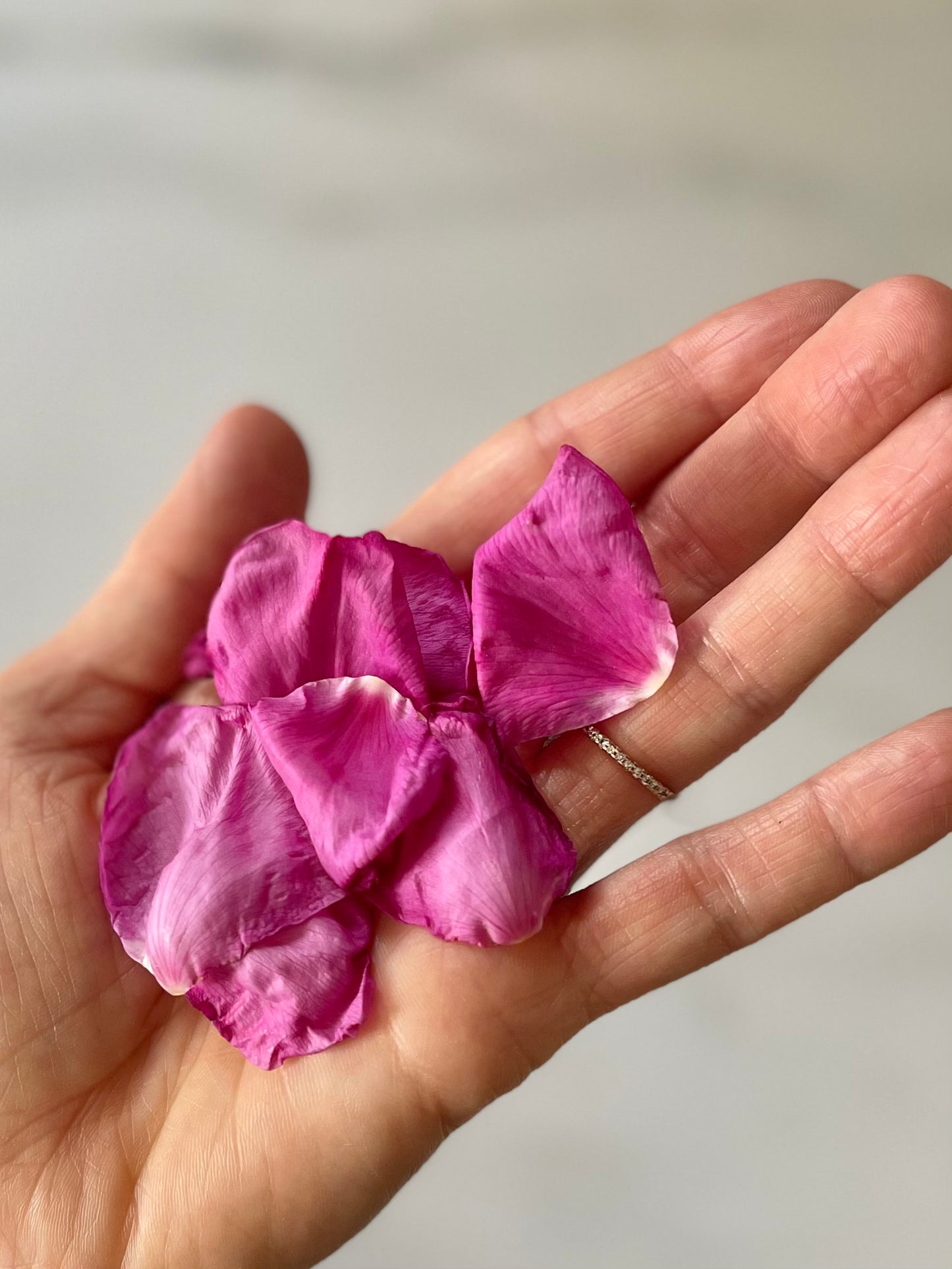 - Savon - ÉPHÉMÈRE 004 - Bière bio et Rose sauvage