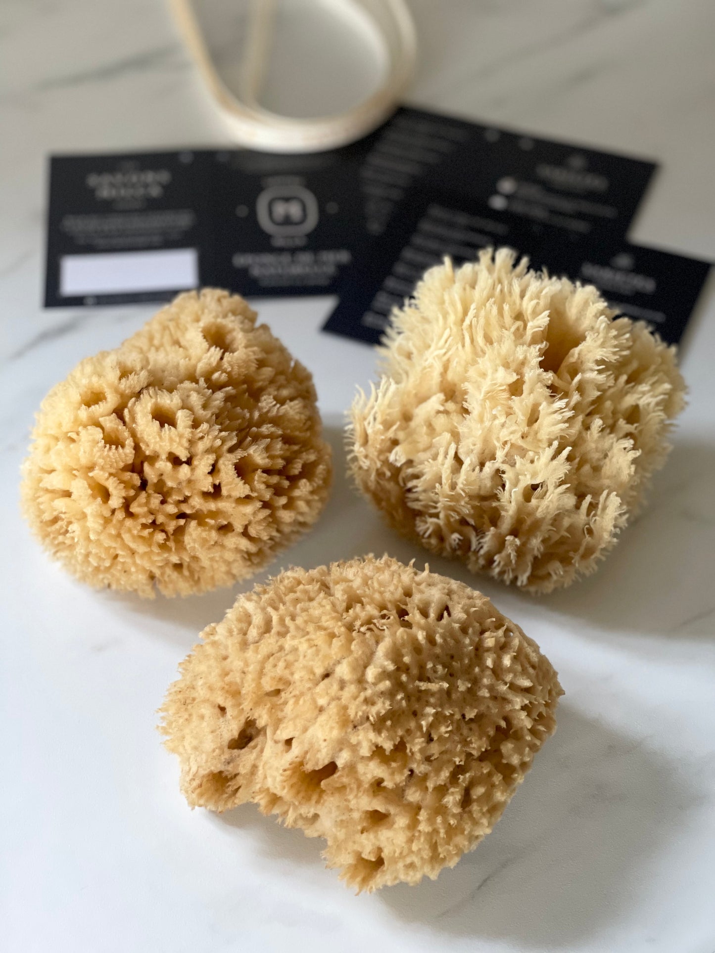 PETITE Éponge de mer naturelle DOUCE et MOELLEUSE / Small WOOL sea sponge