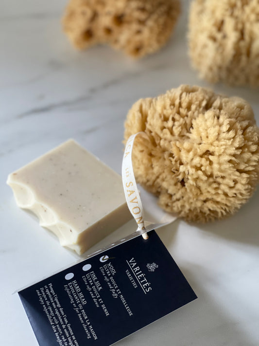 PETITE Éponge de mer naturelle DOUCE et MOELLEUSE / Small WOOL sea sponge