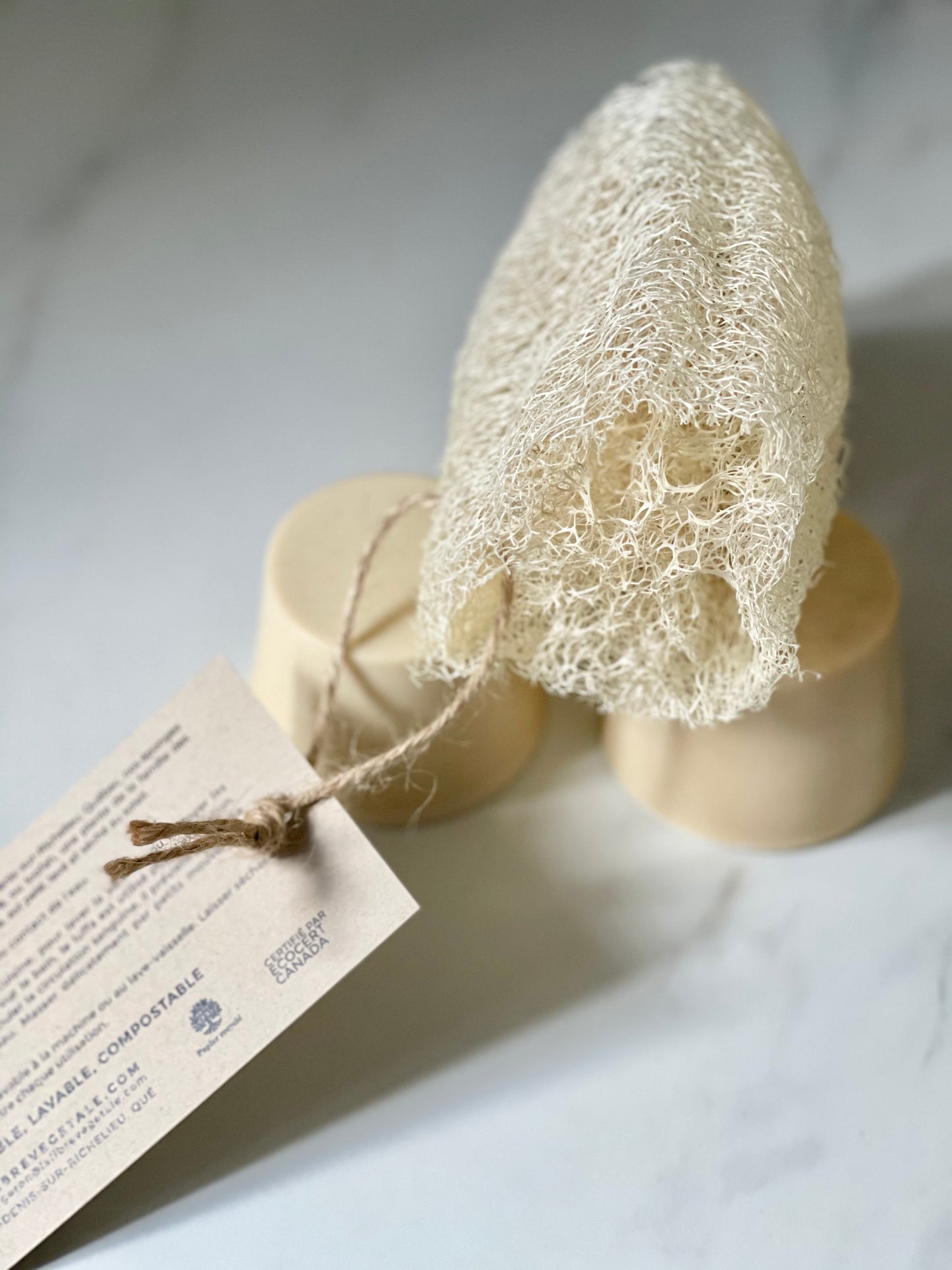 Luffa biologique cultivé au Québec / Organic locally grown luffa