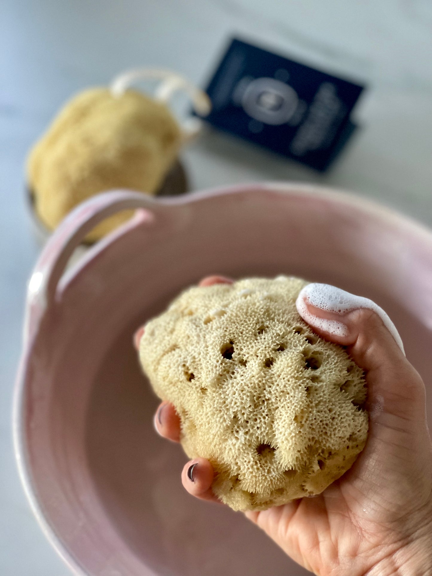 Éponge de mer naturelle DOUCE et DENSE / FINE SILK sea sponge