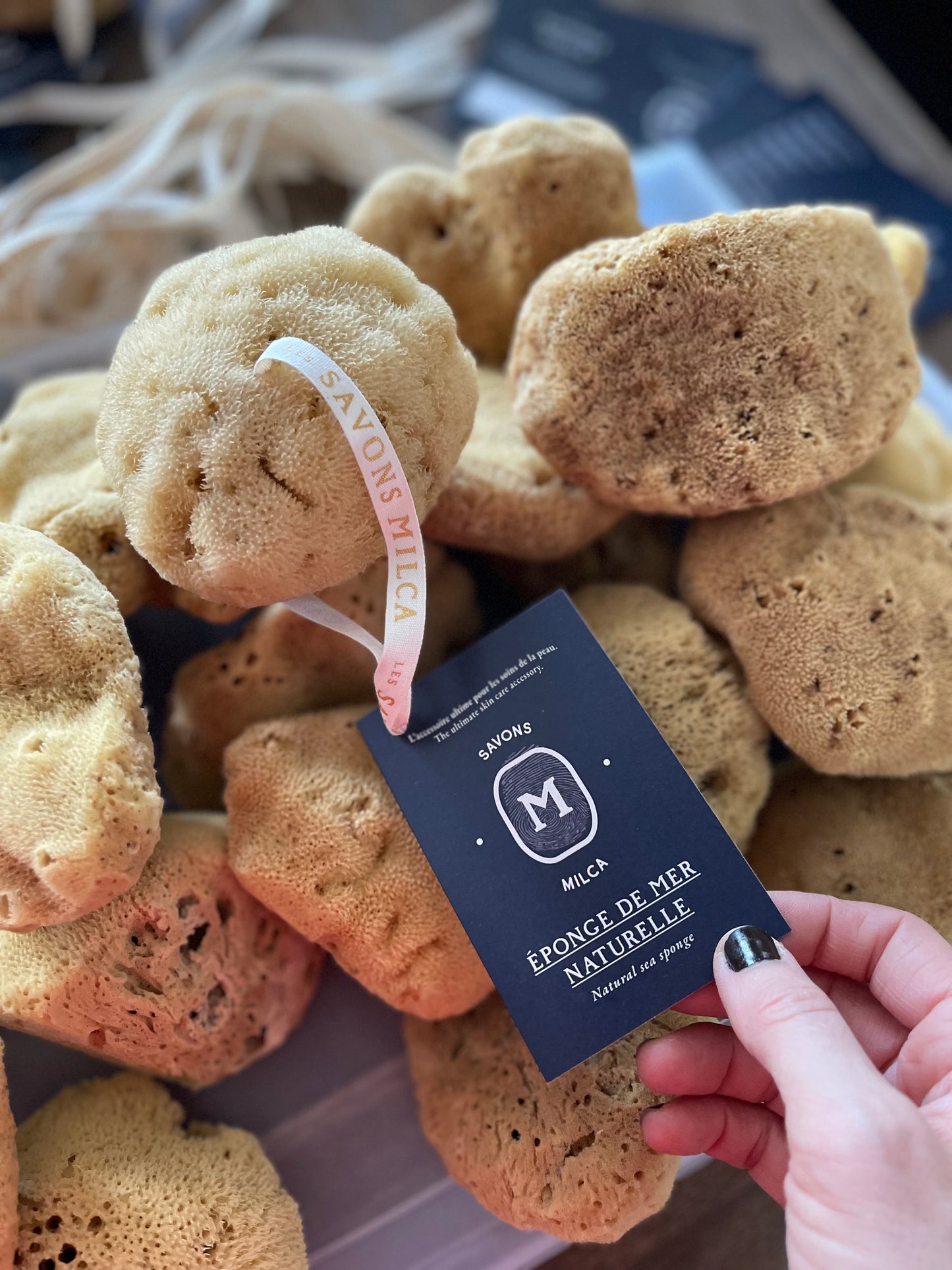 Éponge de mer naturelle DOUCE et DENSE / FINE SILK sea sponge